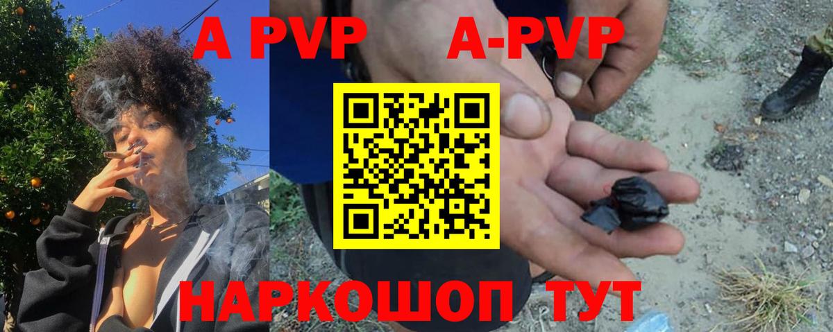 A PVP крисы CK Нарьян-Мар