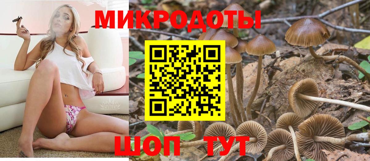 Псилоцибиновые грибы ЛСД Нарьян-Мар