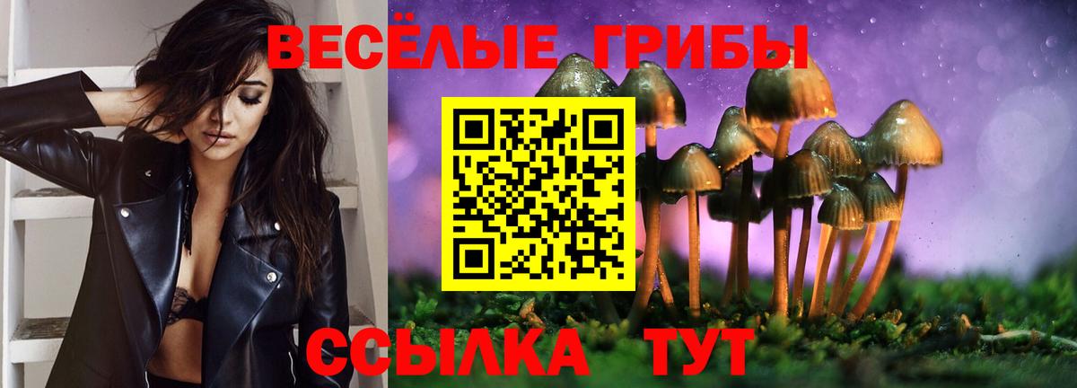 Нарьян-Мар  Псилоцибиновые грибы мухоморы  Вход с VPN 