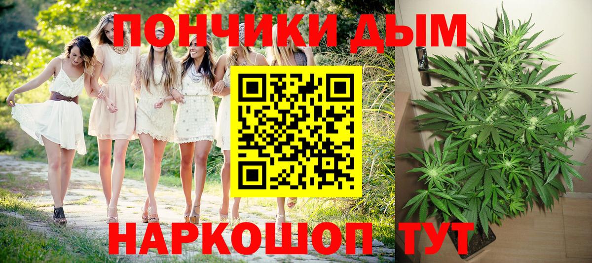 Бошки марихуана конопля  Каннабис планчик  Вход с VPN  Бошки марихуана сатива  Нарьян-Мар 